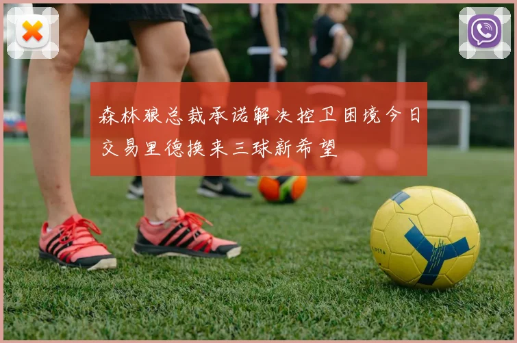 森林狼总裁承诺解决控卫困境今日交易里德换来三球新希望